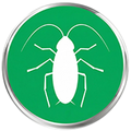 Cockroach Commercial
