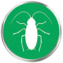 Cockroach Residential Free Inspection