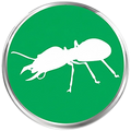 Termite Commercial