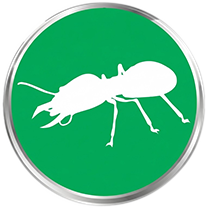 Termite Commercial