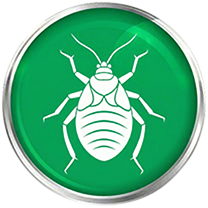 Bed Bug Residential