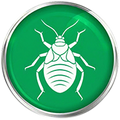Bed Bug Commercial