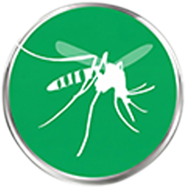 Mosquito Commercial