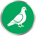 Bird pro Commercial